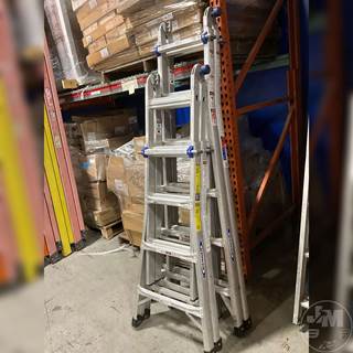 2 Werner (Little Giant Like) Ladders