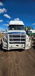 Used 2010 Freightliner Cascadia 125 Moose Bumper