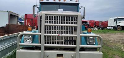 International 9300 Bumper Guard