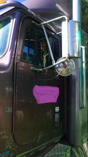 International 9900 Left Door