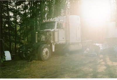 Peterbilt 379 Left Door