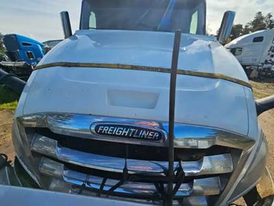 Freightliner Cascadia 126 Hood