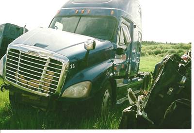 Freightliner Cascadia Hood