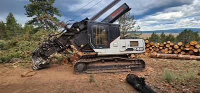 2012 Link-Belt 240 X2 Delimber - Pierce Pacific PMD3348 Delimber