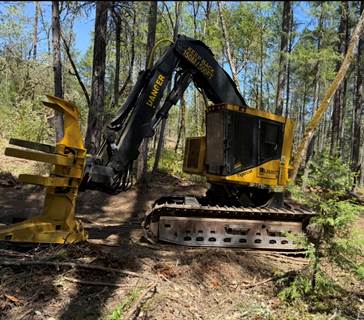 2011 Tigercat LX830C Feller Buncher - Tige
