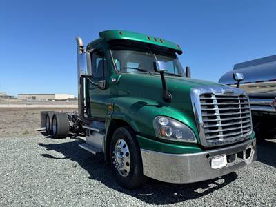 2019 Freightliner Cascadia Cab & Chassis Truck