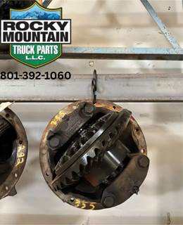 Dana RS404 Rear Differential