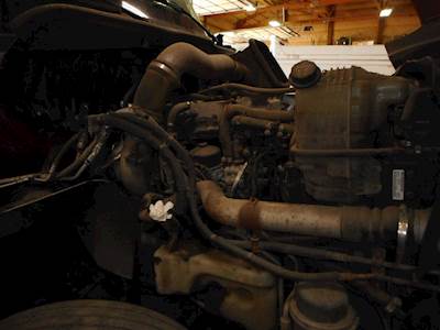 International ProStar Radiator