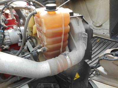 International ProStar Radiator