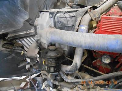 International ProStar Radiator