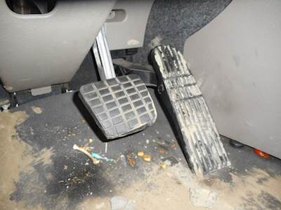 Freightliner Cascadia Evolution Throttle Position Sensor